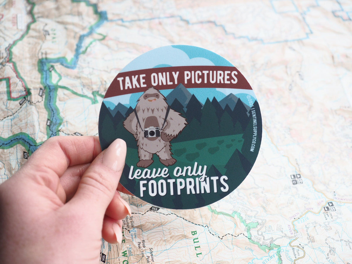 The Cryptid Collection Sticker Pack - Set of 12