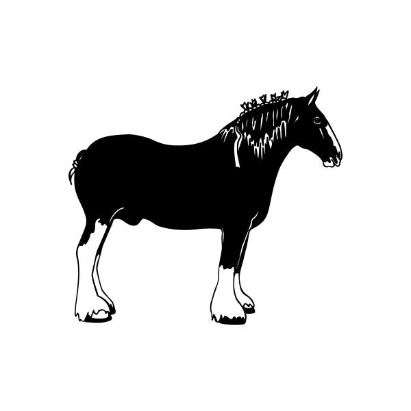 Pinstripe Pinstripes west Car Vinyl Decal Sticker Stickers 3