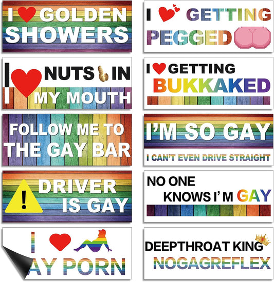10 Pcs Bumper Decals Funny LGBT Stickers Rainbow Bumper Prank Car Stickers Colorful Car Accessories for Truck Vehicle Luggage Window Refrigerator(Magnetic,Classic Style)