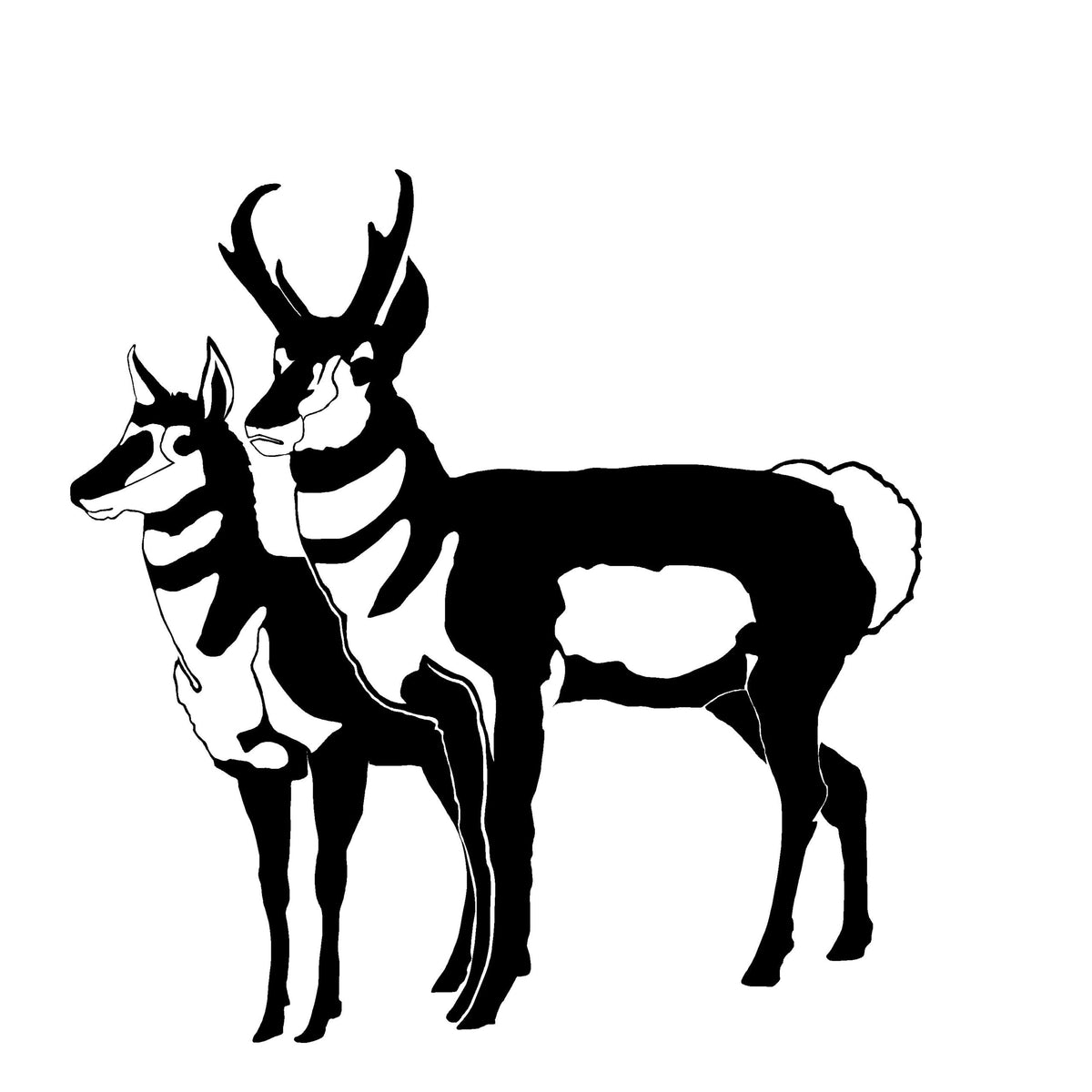 Pronghorn Antelope Pair Decal – Big Game Hunting Truck Sticker - 1901