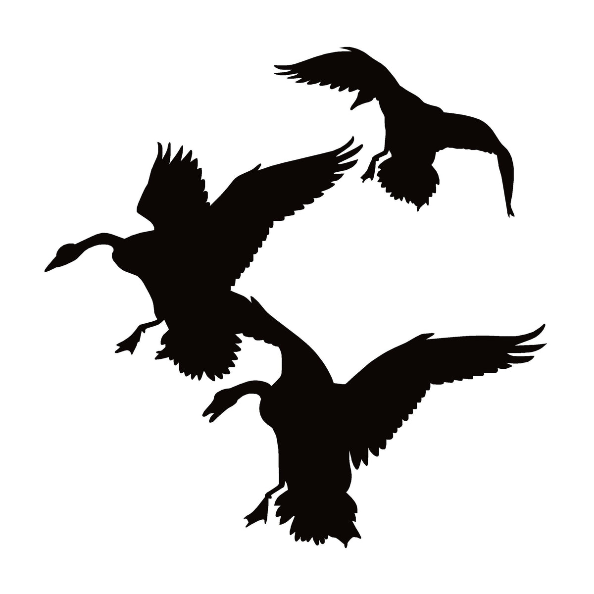 Canada Geese Landing In Field Window Decal - Canada Geese Landing In Field Window Sticker - 7509