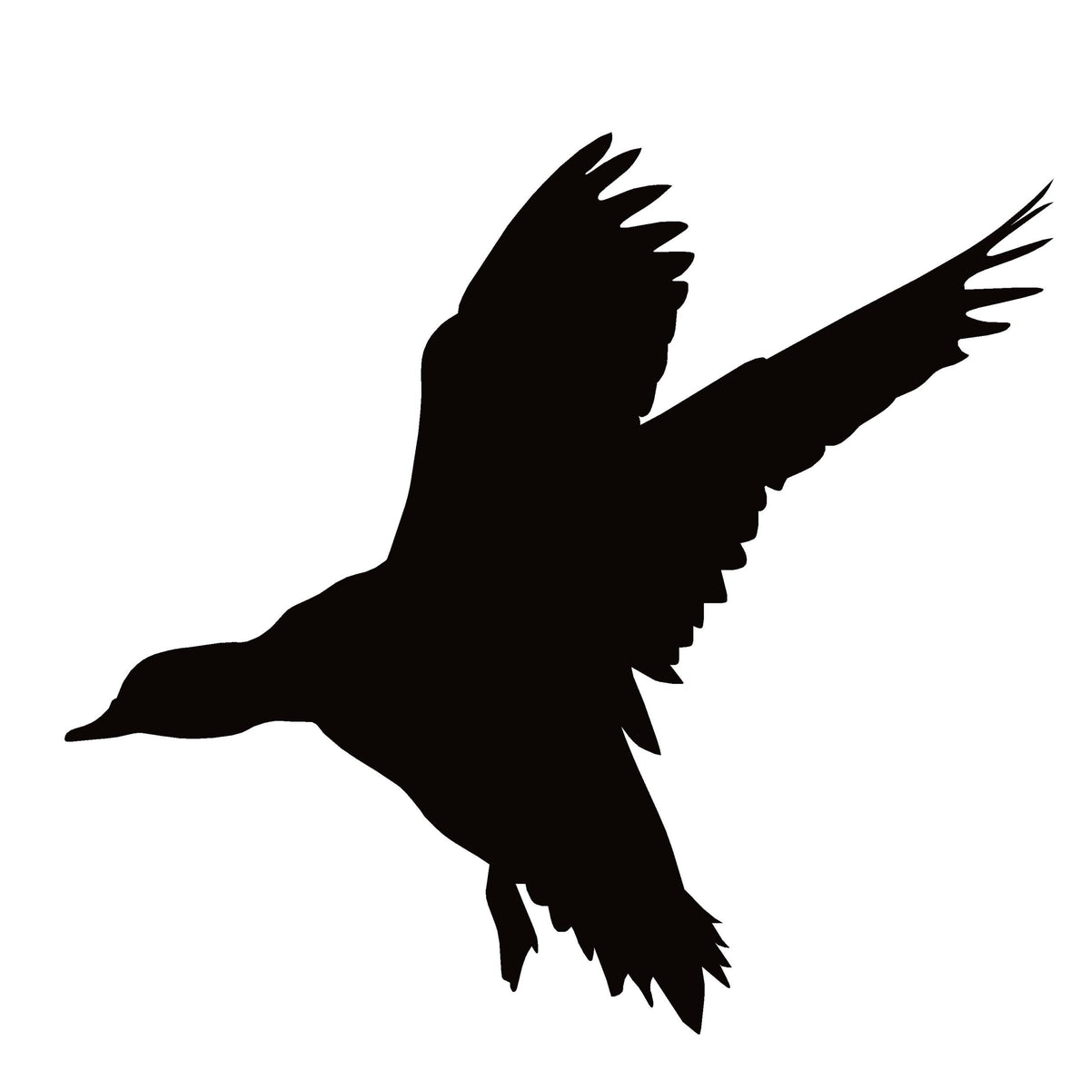 Widgeon Landing Window Decal -Widgeon Landing Window Sticker - 7511