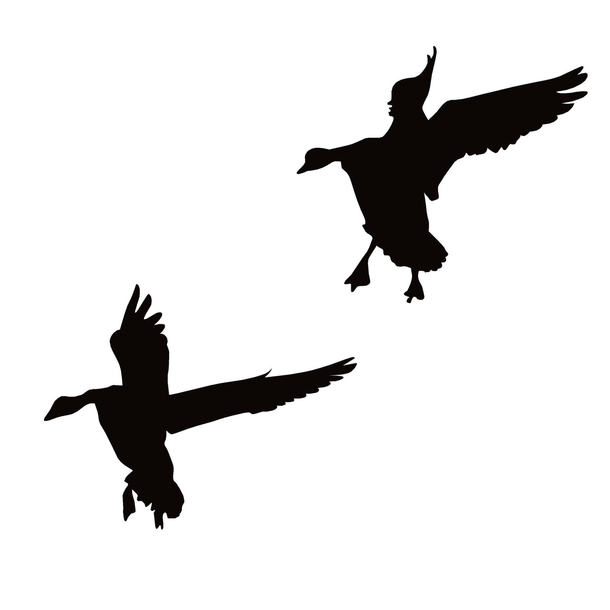 Geese Landing in Spread Window Decal - Geese Landing in Spread Window Sticker - 7611
