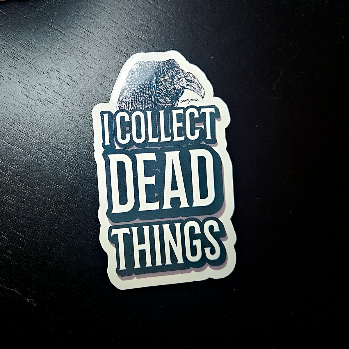 Vinyl Sticker (2 for $5)