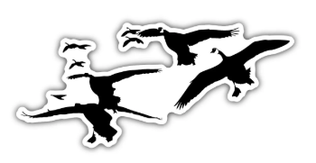 Goose Hunting Stickers – 5pc Waterfowl Decal Pack for Trucks & Gear