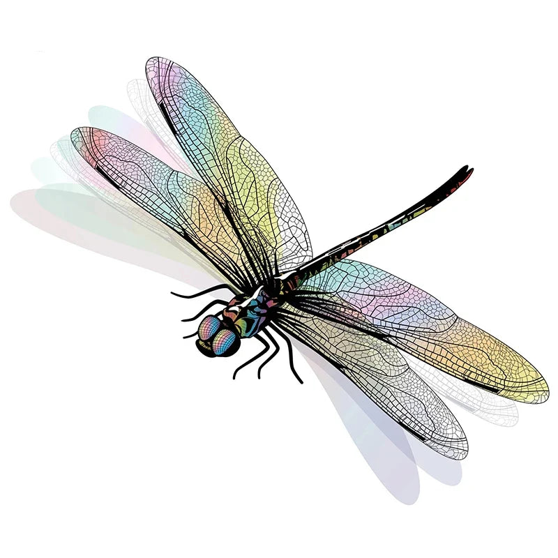 Realistic Dragonfly Wall Sticker | Home Decoration Decals