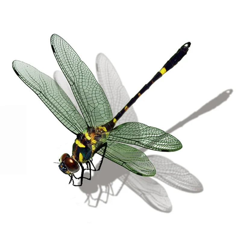 Realistic Dragonfly Wall Sticker | Home Decoration Decals
