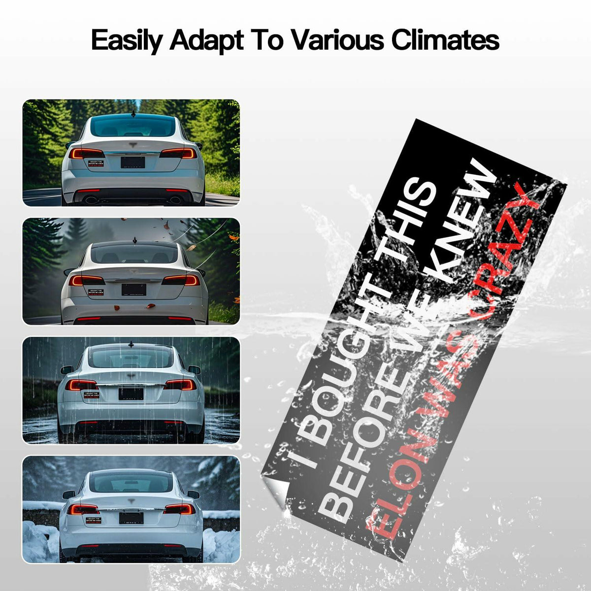 Funny Car Bumper Sticker 7.5x3