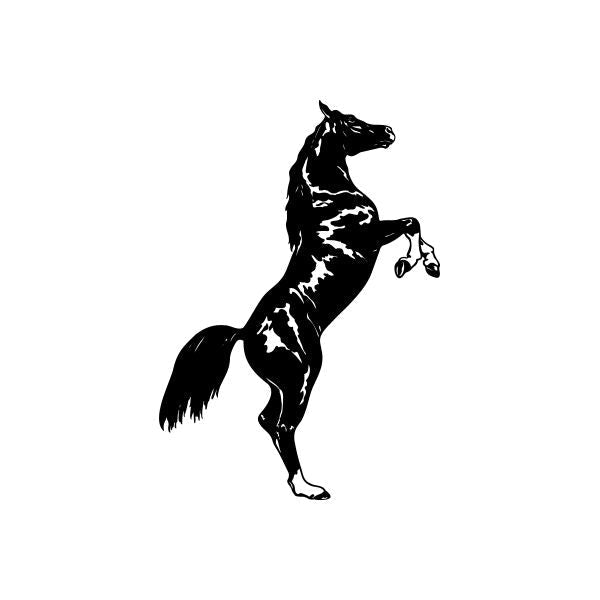 Pinstripe Pinstripes west Car Vinyl Decal Sticker Stickers 7