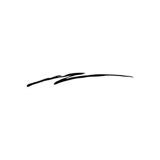 Pinstripes pin stripes lines Car Window Vinyl Decal Sticker Stickers 110